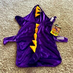 Dragon dog costume